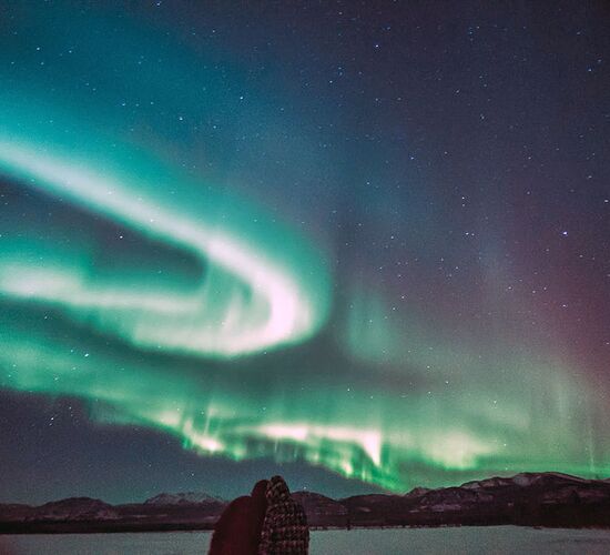 Das Beste aus dem Yukon © Arctic Range Adventures